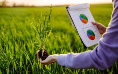 Agricultural finance