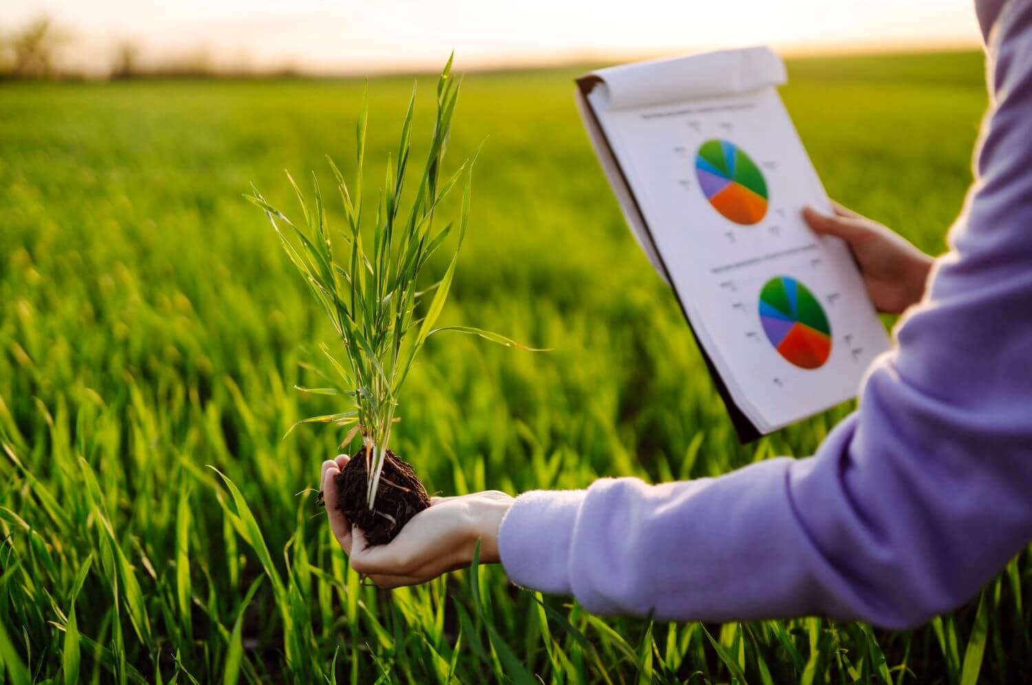 agricultural finance agricultural finance