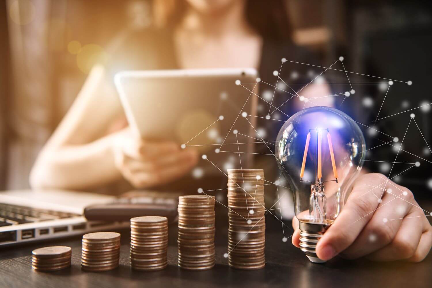 business investment options