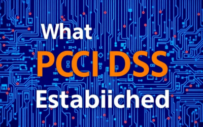 Vilket år etablerades PCI DSS?