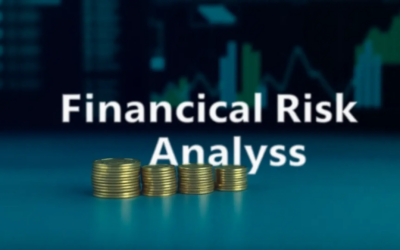 Finansiell riskanalys