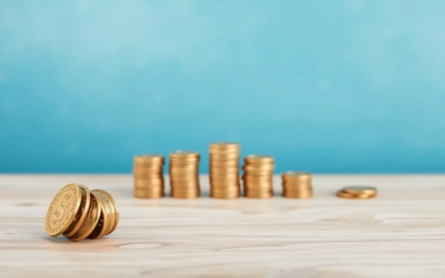 Finansiel fleksibilitet